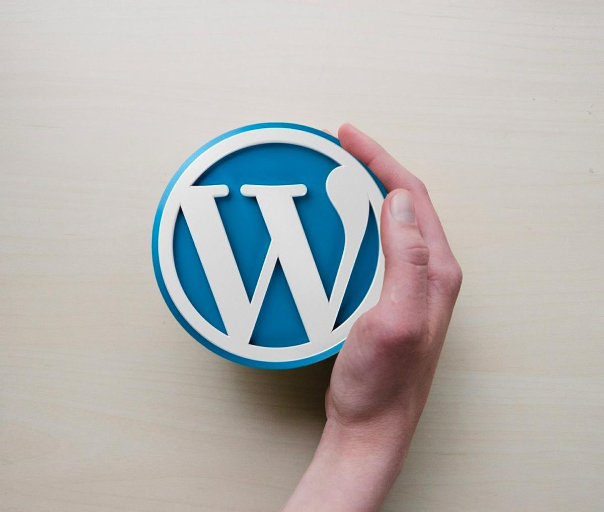 Özel Yazılım ile Wordpress arasındaki farklar nelerdir