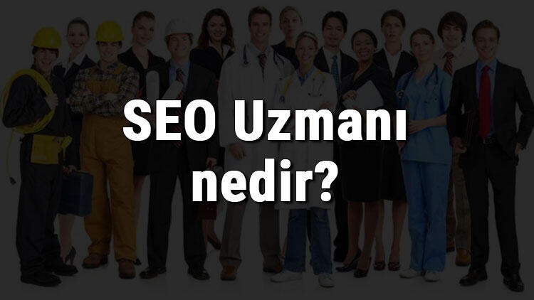 SEO Uzmanı nedir, ne iş yapar ve nasıl olunur?